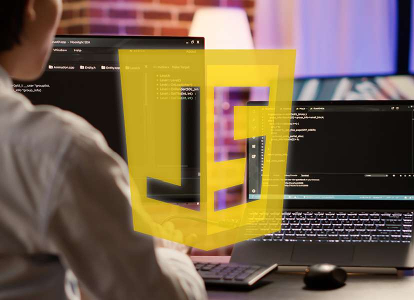 JavaScript JavaScript professionnel et général