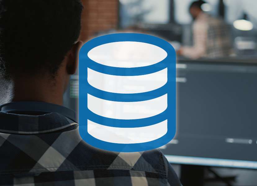 SQL SQL professionnel et général